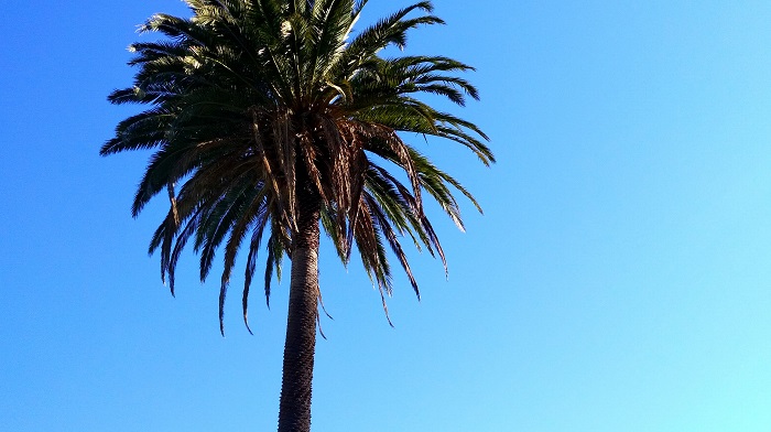 From 25 to 2500 in 18&nbsp;years!