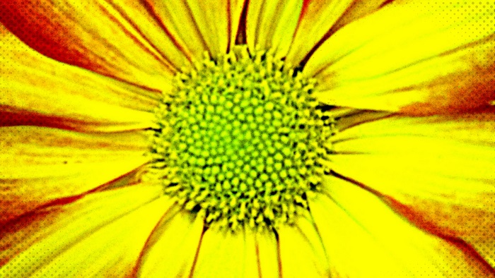 CPD resources to help stay up-to-date on the ever-changing legislative&nbsp;landscape