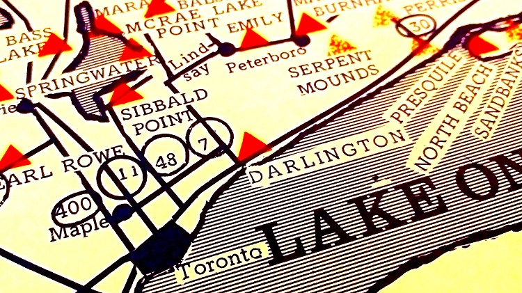 Nobody Knows Everything