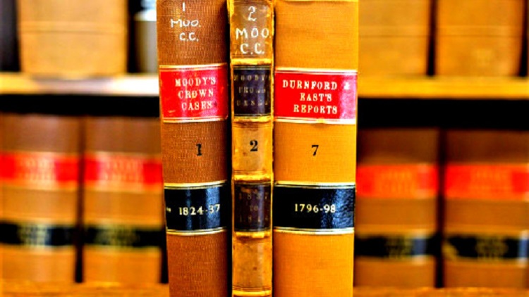 What are Nominate&nbsp;Reports?