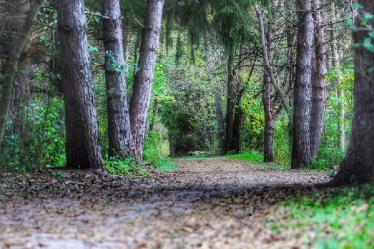 Make Your Keyword Search Just&nbsp;Right