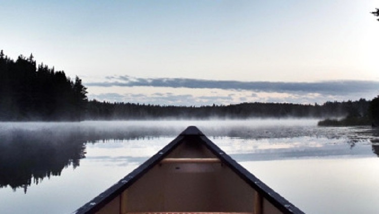 Progress Report: Status of Ontario Bills as of the Summer&nbsp;Recess