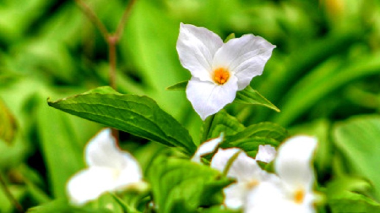 Online Only, Please!