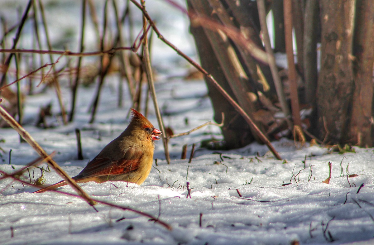 House of Bills: November 3-6,&nbsp;2025