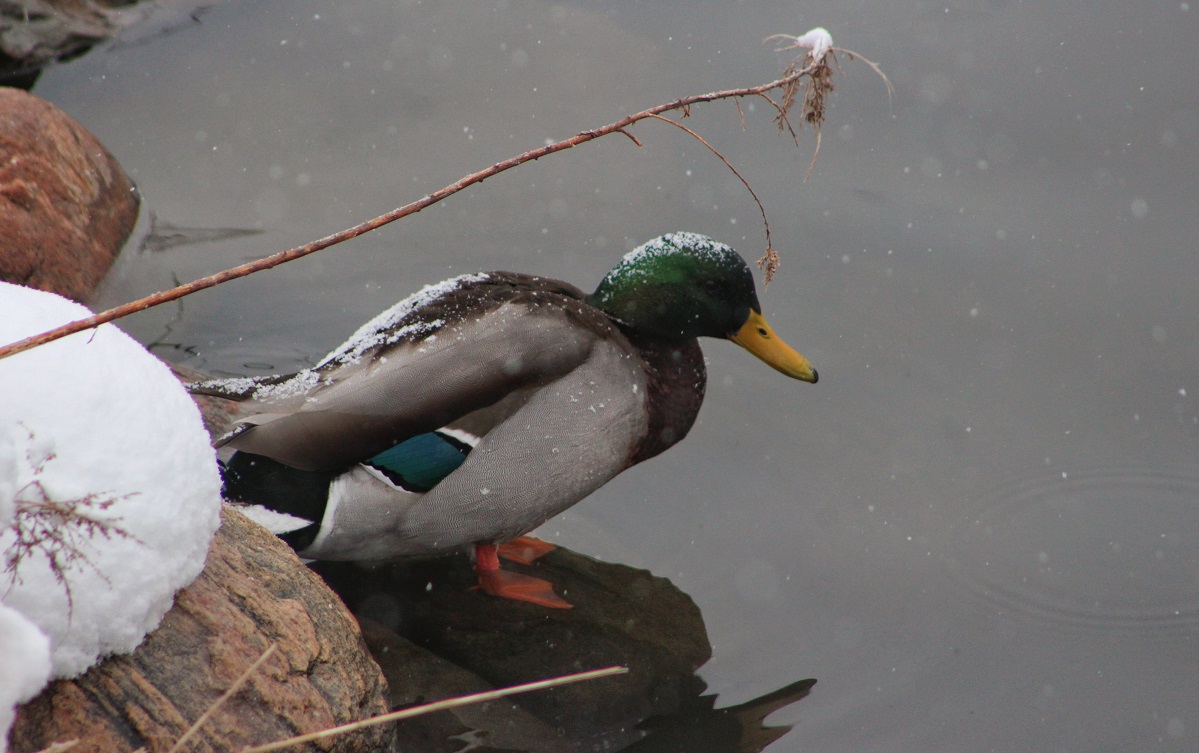 New Books – Late Winter&nbsp;2020