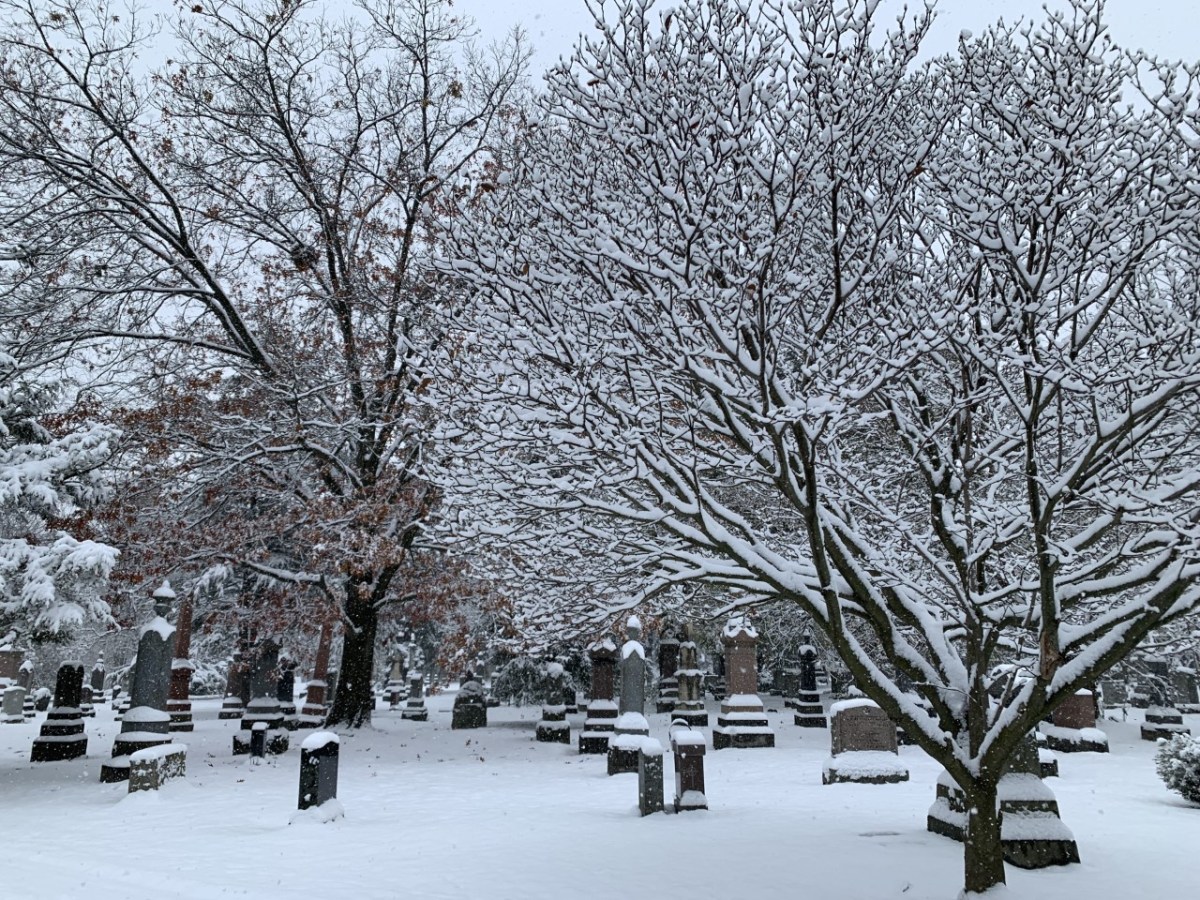 Making a Will: Some&nbsp;Tools