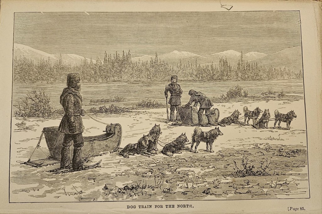 A scene in the countryside with a lake and lots of pine trees in the background. In the foreground are two dog sleds, each with four dogs tied to the sled in a tandem style. Two men stand near the sled further in the background, wearing fur hats and warm clothing as well as snowshoes. There is also a man standing beside the other sled in the same type of clothing. 