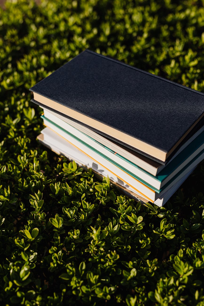 New Books – Summer&nbsp;2025