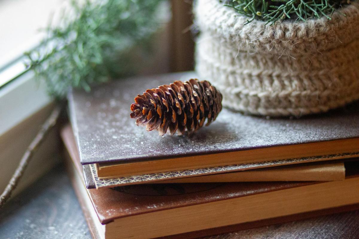 New Books – Winter&nbsp;2025/2026